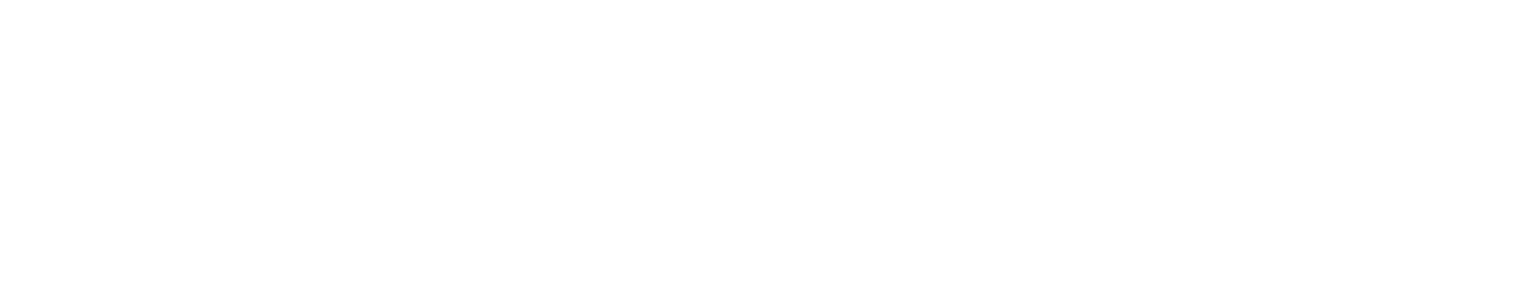 SimEndurance