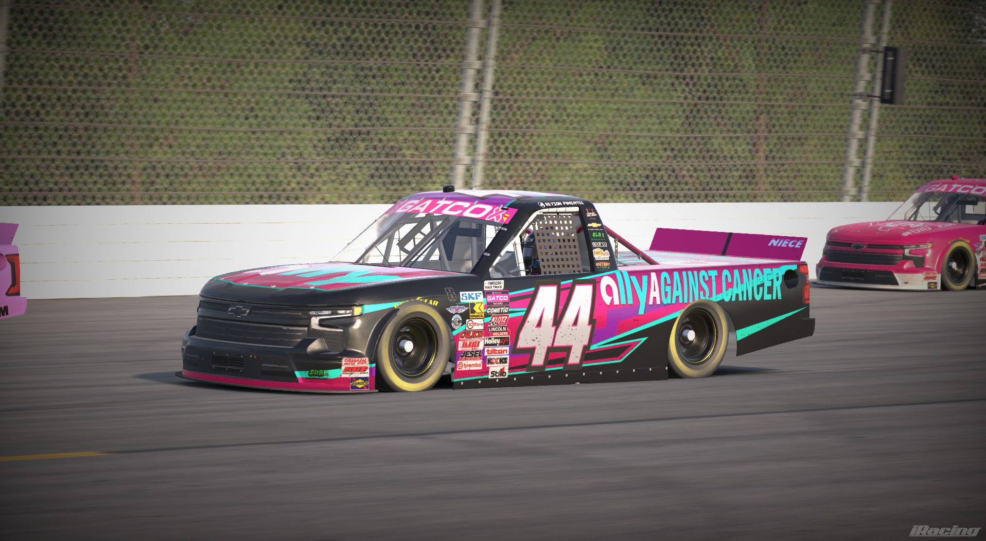 Number 44 Ally Against Cancer truck on track
